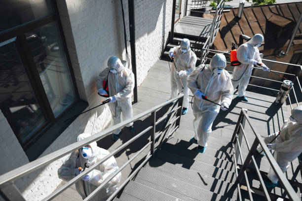 Best Mold Odor Removal Services  in Del Rey Oaks, CA