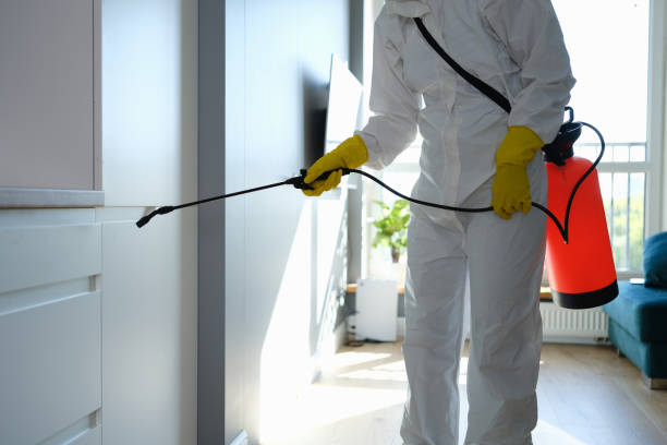 Best Forensic Mold Investigation  in Del Rey Oaks, CA