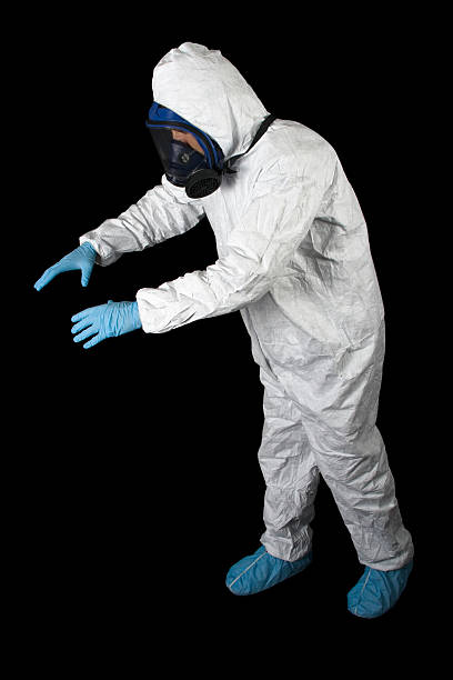 Professional Mold Removal in Del Rey Oaks, CA