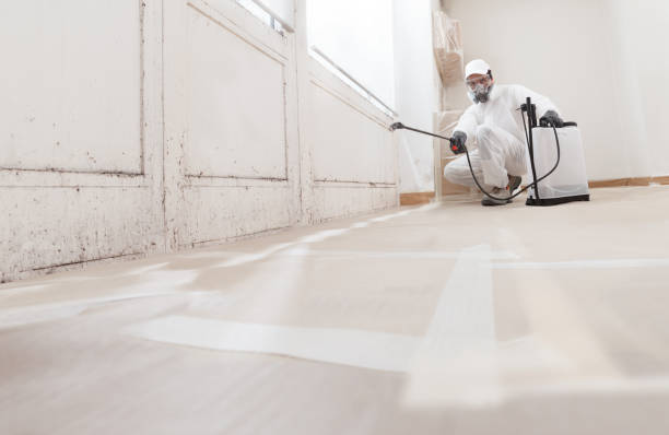 Best Mold Removal for HVAC Installations  in Del Rey Oaks, CA