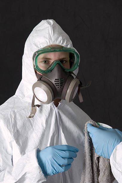 Best Environmental Consulting for Mold Prevention  in Del Rey Oaks, CA