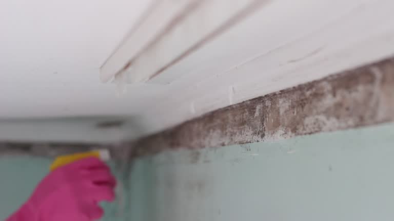 Best Residential Mold Inspection & Testing  in Del Rey Oaks, CA